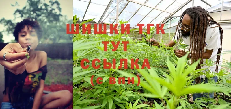 Канабис Ganja  Калач 